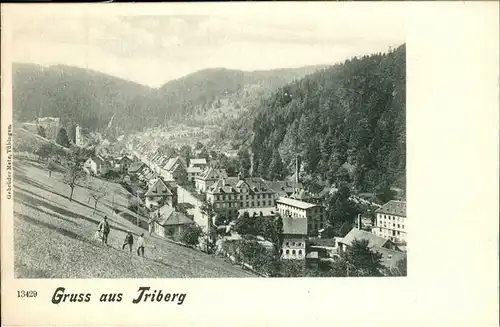 Triberg Schwarzwald  Kat. Triberg im Schwarzwald