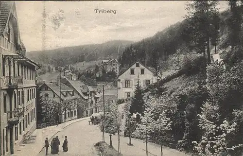 Triberg Schwarzwald  Kat. Triberg im Schwarzwald