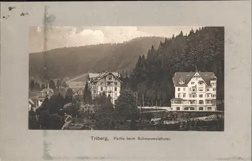 Triberg Schwarzwald Schwarzwald Hotel  Kat. Triberg im Schwarzwald