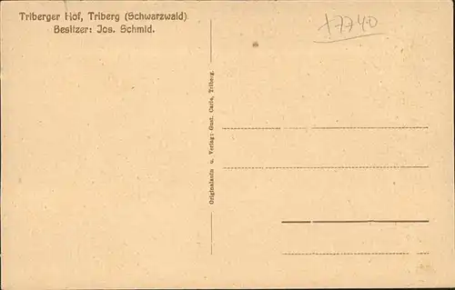 Triberg Schwarzwald Triberger Hof Kat. Triberg im Schwarzwald