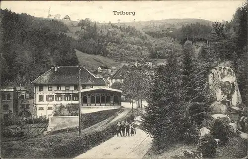 Triberg Schwarzwald  Kat. Triberg im Schwarzwald