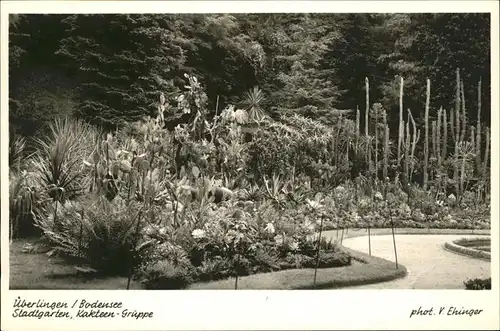 ueberlingen Bodensee Stadtgarten Kat. ueberlingen