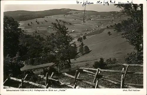 Freiburg Breisgau Schauinsland
Hofgrund
Mulde Kat. Freiburg im Breisgau