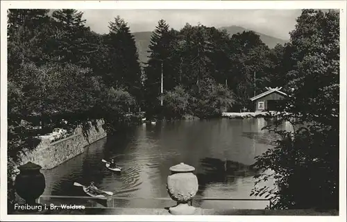 Freiburg Breisgau Waldsee Kat. Freiburg im Breisgau