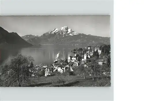 wz18144 Weggis LU Panorama Kategorie. Weggis Alte Ansichtskarten