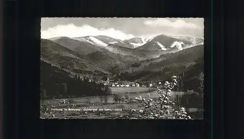 Freiburg Breisgau Guenterstal Schauinsland