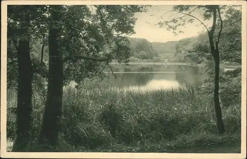 Freiburg Breisgau Waldsee