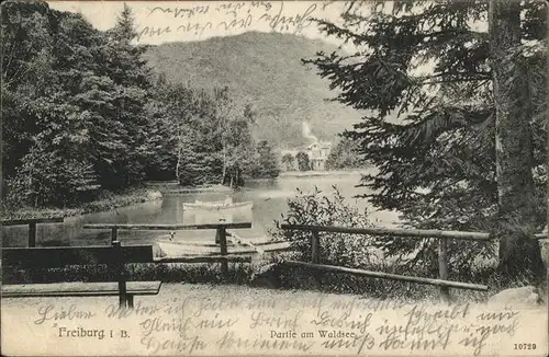 Freiburg Breisgau Waldsee