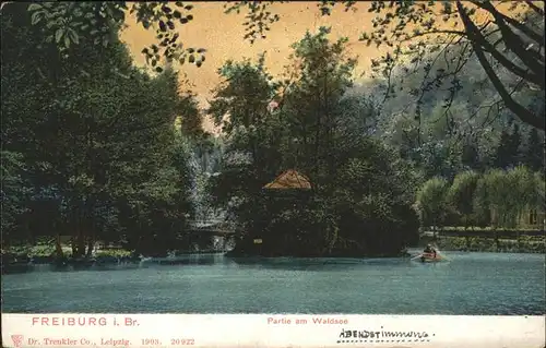 Freiburg Breisgau Waldsee