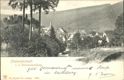 Neckarsteinach Steinachmuendung Kat. Neckarsteinach