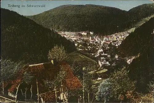 Triberg Schwarzwald  Kat. Triberg im Schwarzwald