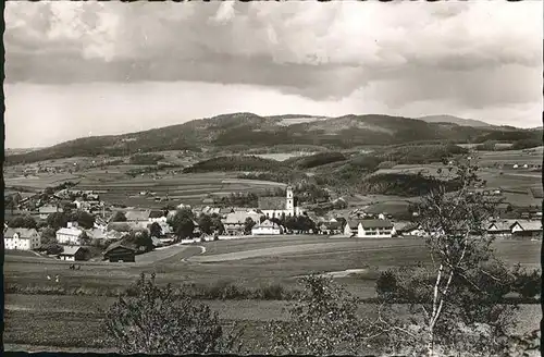 Viechtach Kronberg Riedelstein Kat. Viechtach