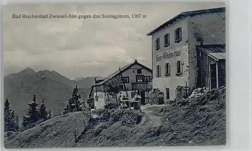 Bad Reichenhall Bad Reichenhall Zwiesel Alm Sonntagshorn ungelaufen ca. 1910 / Bad Reichenhall /Berchtesgadener Land LKR