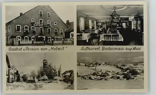 Bodenmais Pension Hofwirt x 1955