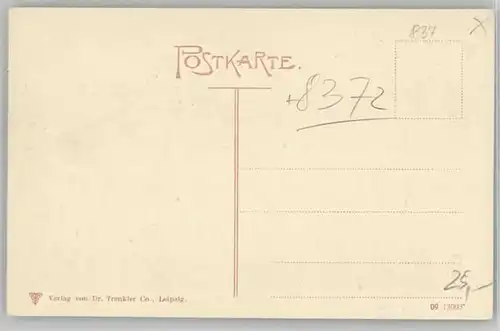 Bodenmais Bodenmais Fliegeraufnahme ungelaufen ca. 1920 / Bodenmais /Regen LKR