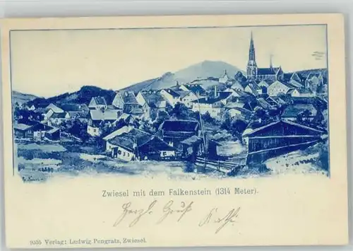 Zwiesel Niederbayern Zwiesel Falkenstein x 1899 / Zwiesel /Regen LKR