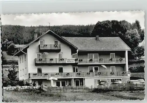 Bodenmais Bodenmais Fremdenheim Hoffmann ungelaufen ca. 1955 / Bodenmais /Regen LKR