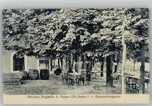 Passau Weinhaus Bergkeller x 1910