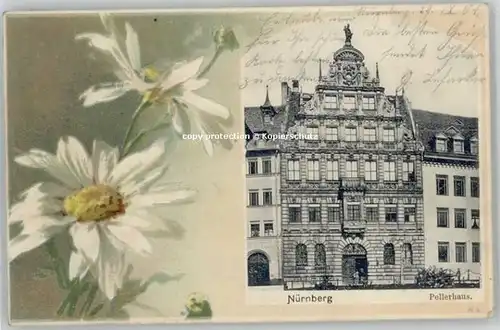 Nuernberg Pellerhaus x 1901