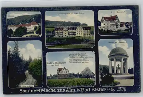 Bad Elster Bad Elster Cafe Restaurant zur Alm x / Bad Elster /Vogtlandkreis LKR