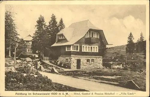 Feldberg Schwarzwald Hotel Gasthof Pension Hebelhof Villa Liseli / Feldberg (Schwarzwald) /Breisgau-Hochschwarzwald LKR