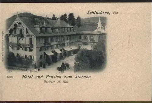 Schluchsee Hotel Pension Sternen Kutsche / Schluchsee /Breisgau-Hochschwarzwald LKR