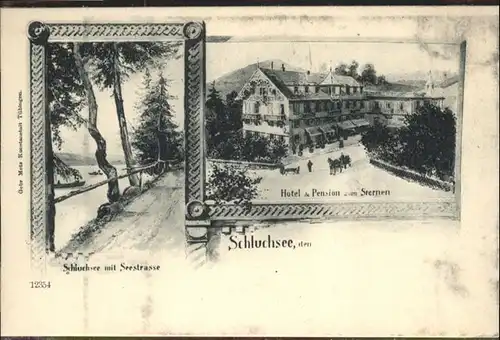 Schluchsee Hotel Pension Sternen Kutsche Seestrasse / Schluchsee /Breisgau-Hochschwarzwald LKR