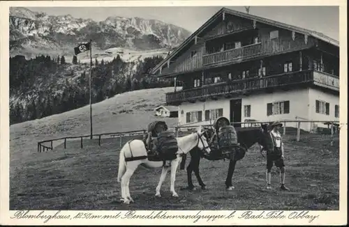 Bad Toelz Blomberghaus Pferde