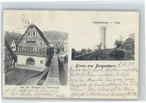 Bad Bergzabern Bad Bergzabern Schaeffelsberg Turm x / Bad Bergzabern /Suedliche Weinstrasse LKR