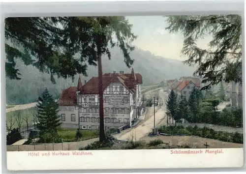 Schoenmuenzach Hotel Kurhaus Waldhorn *