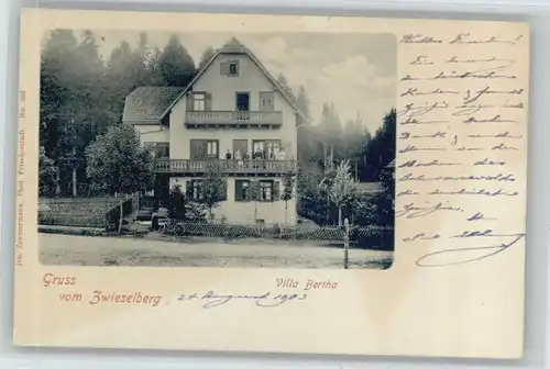 Freudenstadt [Stempelabschlag] Zwieselberg Villa Bertha x
