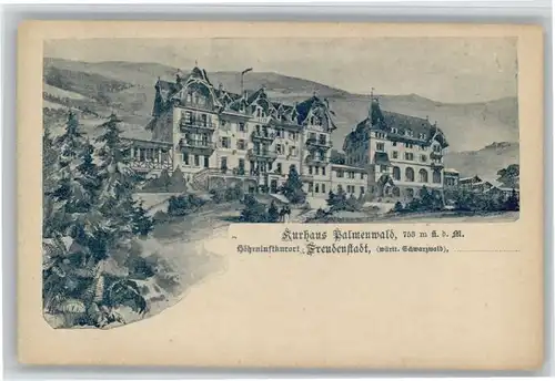 Freudenstadt Freudenstadt Kurhaus Palmenwald * / Freudenstadt /Freudenstadt LKR