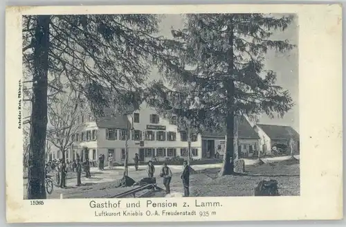 Kniebis Freudenstadt Kniebis Gasthof Pension zum Lamm * / Freudenstadt /Freudenstadt LKR