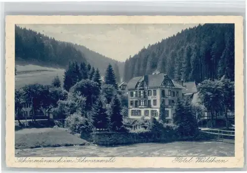 Schoenmuenzach Hotel Waldhorn *