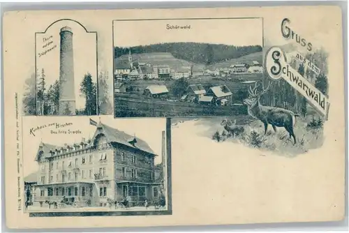 Schoenwald Schwarzwald Kurhaus zum Hirschen Turm Stoecklewald *