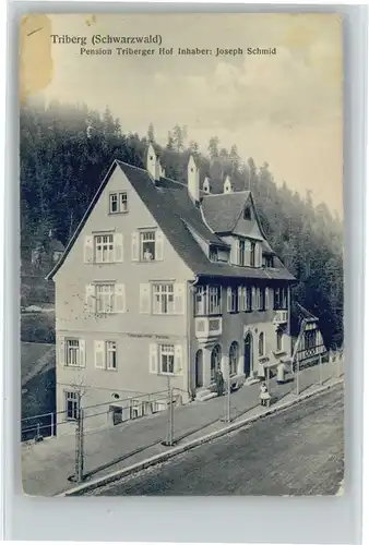 Triberg Pension Triberger Hof x