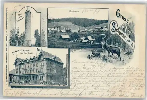 Schoenwald Schwarzwald Kurhaus zum Hirschen Turm Stoecklewald x