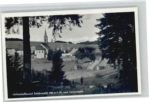 Schoenwald Schwarzwald  *