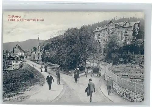 Triberg Schwarzwald-Hotel *