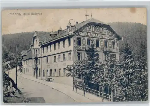 Triberg Hotel Bellevue x