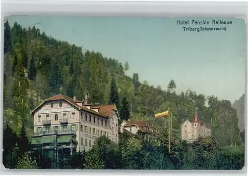 Triberg Hotel Pension Bellevue x