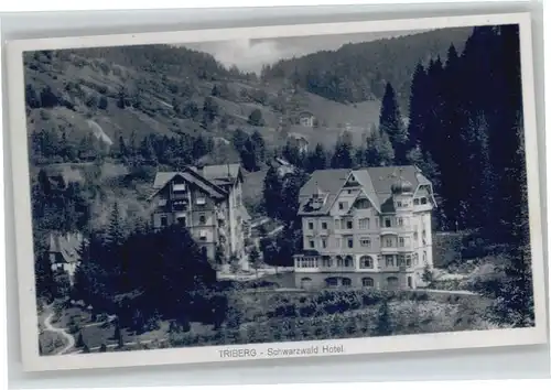 Triberg Schwarzwald Hotel *