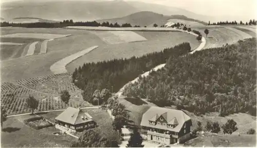 Furtwangen Goldener Rabe Fliegeraufnahme *