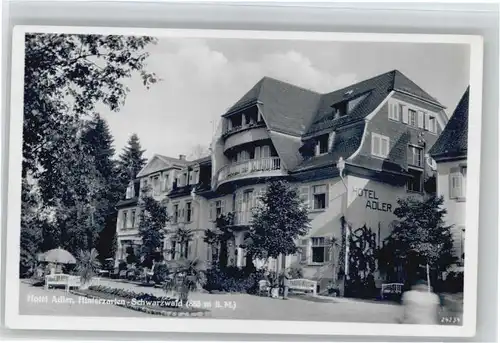 Hinterzarten Hotel Adler *