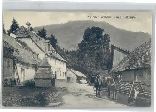 Zwiesel Niederbayern Zwiesel Waldhaus Falkenstein * / Zwiesel /Regen LKR