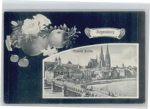 Regensburg Eiserne Bruecke x