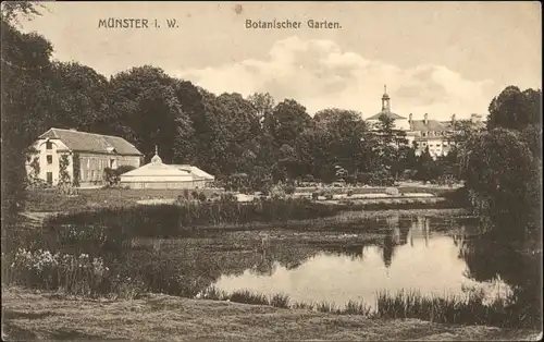 Muenster Botanischer Garten x