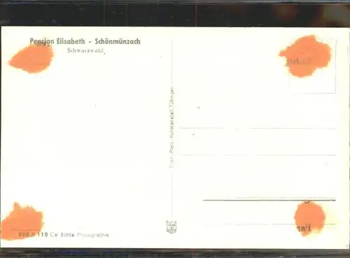 Schoenmuenzach Schwarzwald Pension Elisabeth *