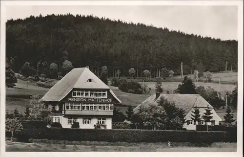 Schluchsee Pension Mattenhof *