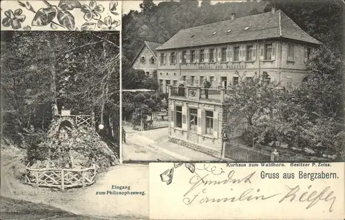 Bad Bergzabern Kurhaus Waldhorn Philosophenweg x